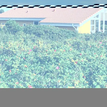 Buller Holiday home